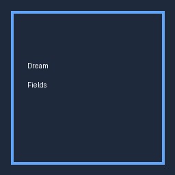 Dream Fields logo